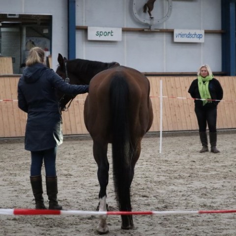 Coaching1832_1